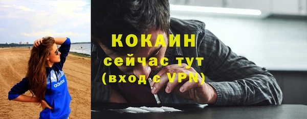 винт Костерёво