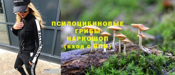 эйфоретик Балахна